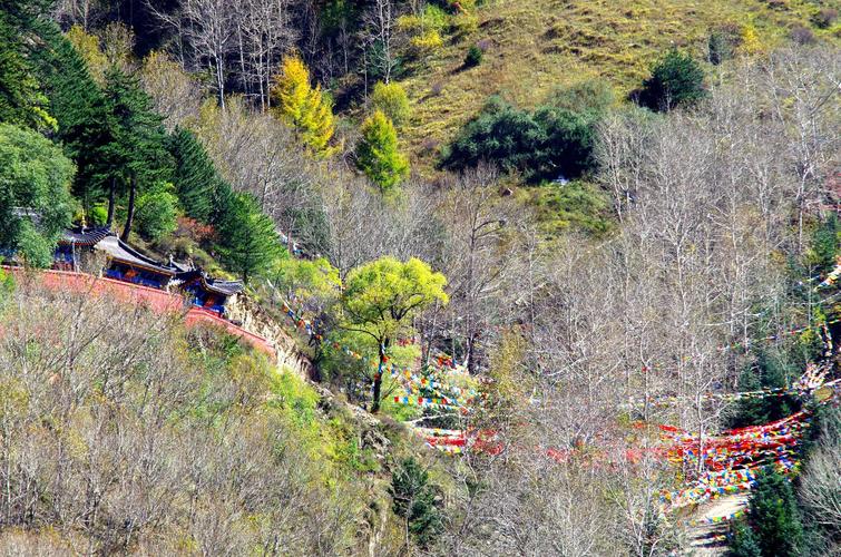 平台主播招募计划开启