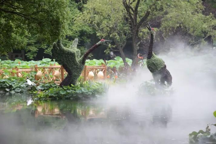 治愈系嗓音现场