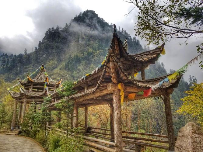 百位主播公益助农直播