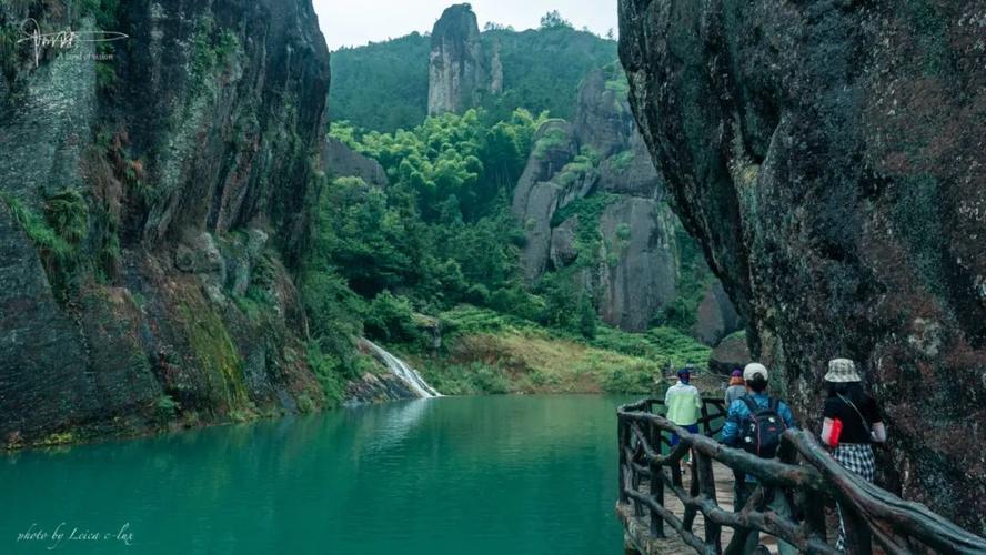 治愈系嗓音现场