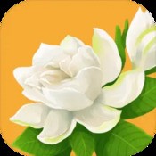 半岛手机在线登陆入口应用图标