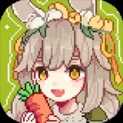 角落棋牌app手机版马年定制版v4.1.4